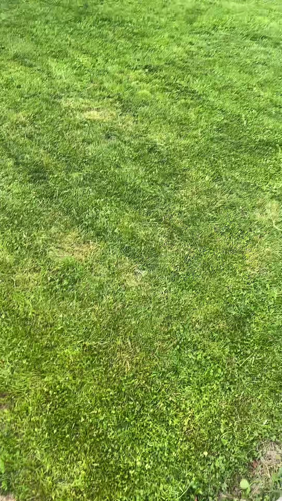 @𝐒𝐄𝐑𝐃𝐀𝐑