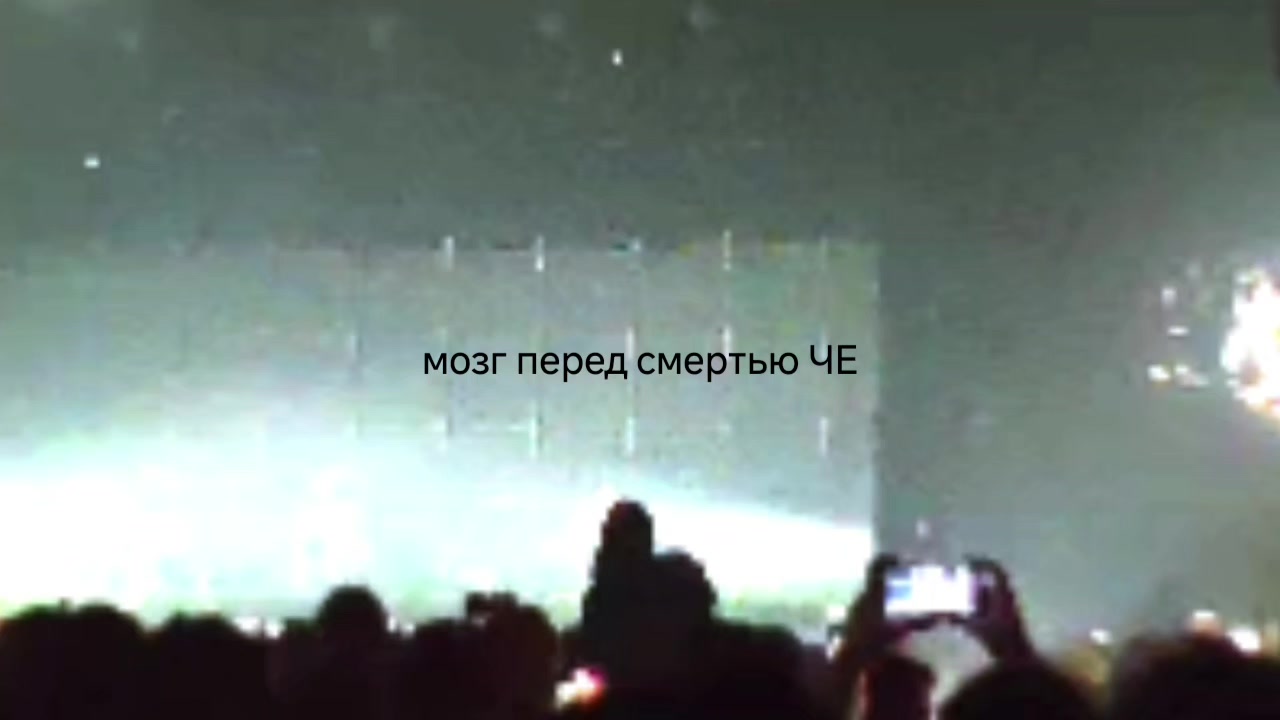 @🪷 :: ле́ля инкогніда