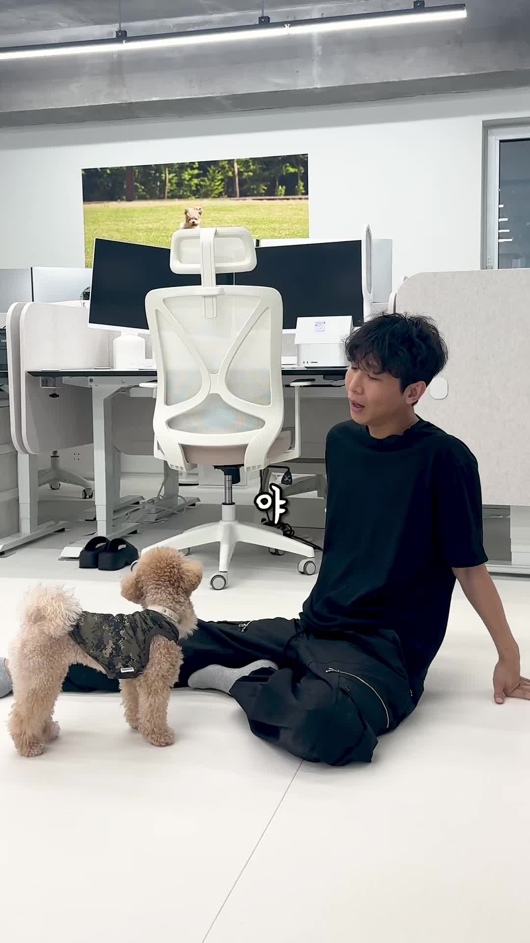 @원샷한솔
