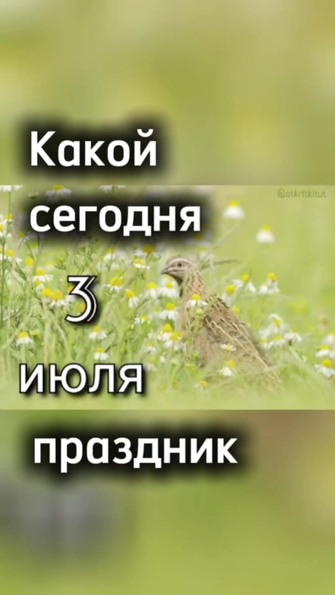 @✨Сибирский мужик ✨