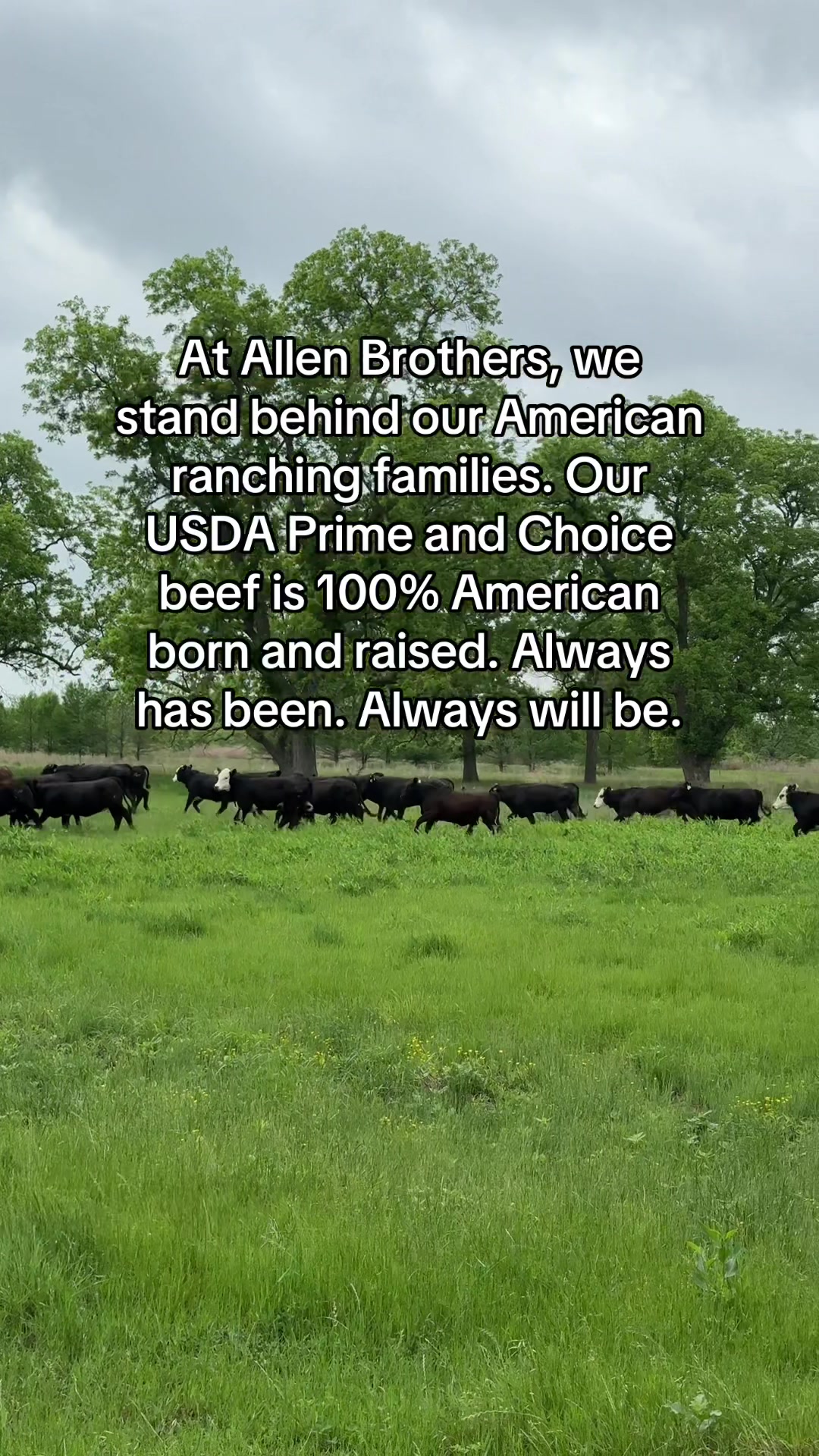 @Allen Brothers