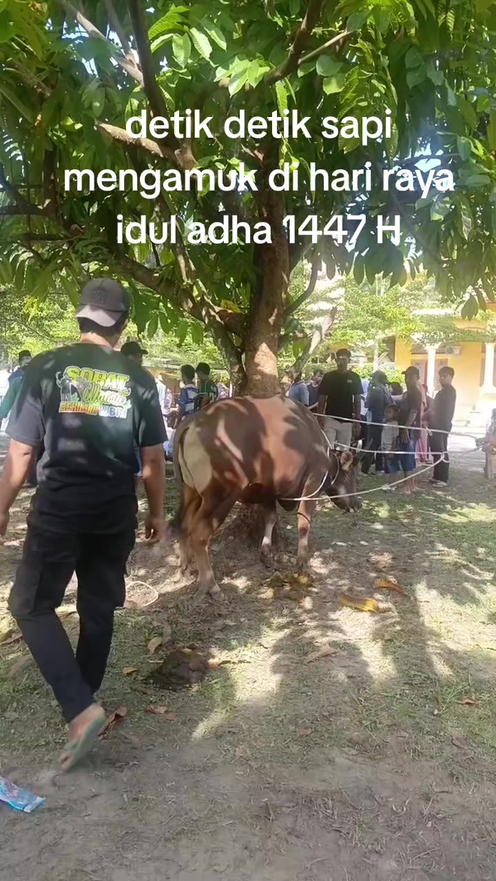 @BotSumatra