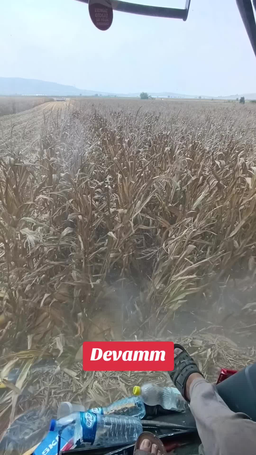 @ilyas Bayrambeğ