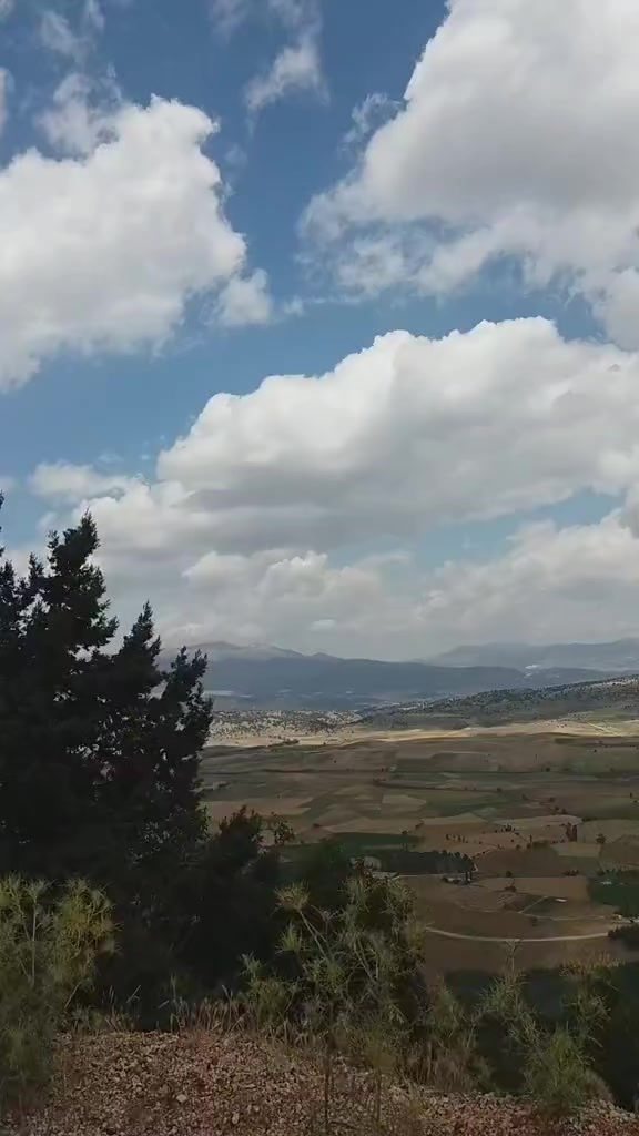 @Ömer Soylu