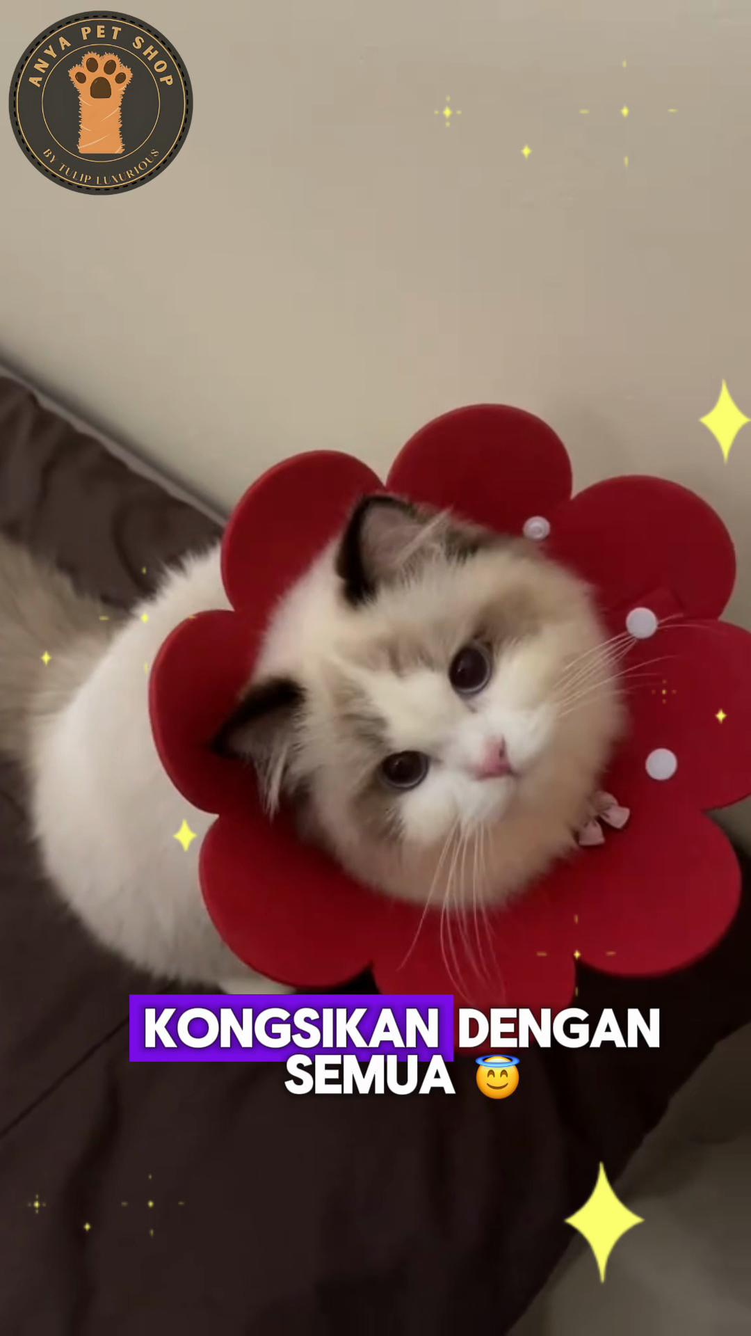 @Anya Pet Shop