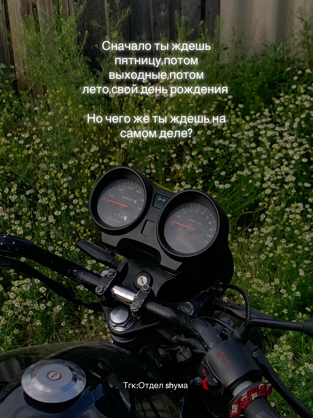 @𝙉𝙖𝙡𝙞𝙠