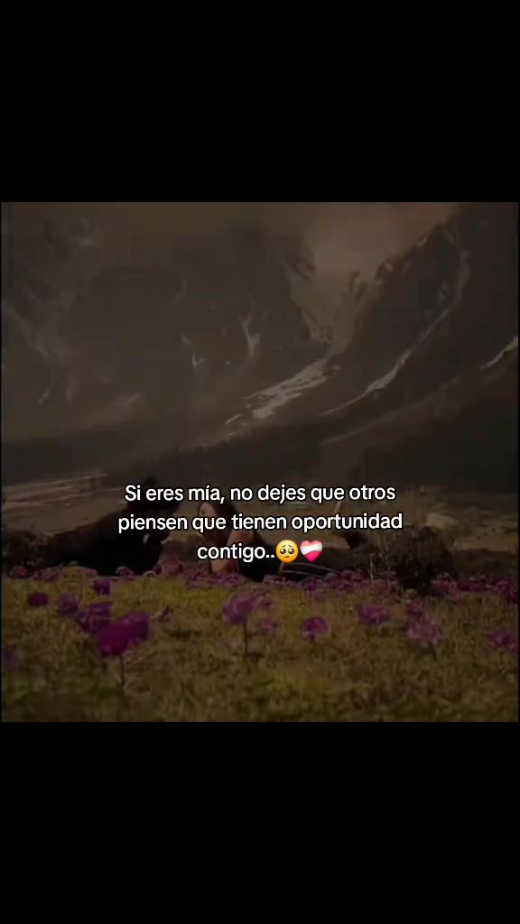 @E.....frases💫🤩