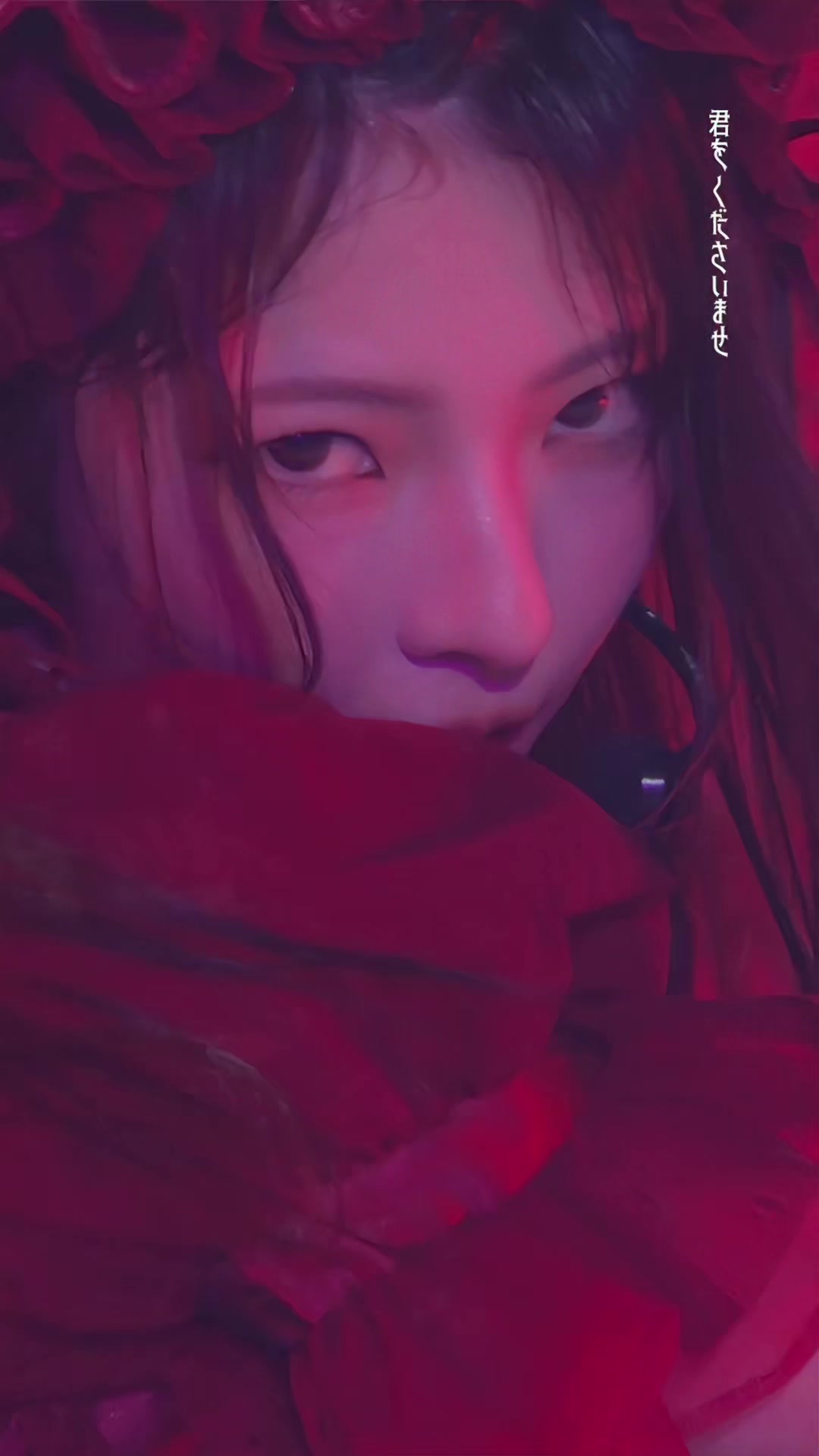 @ノイミーTikTok