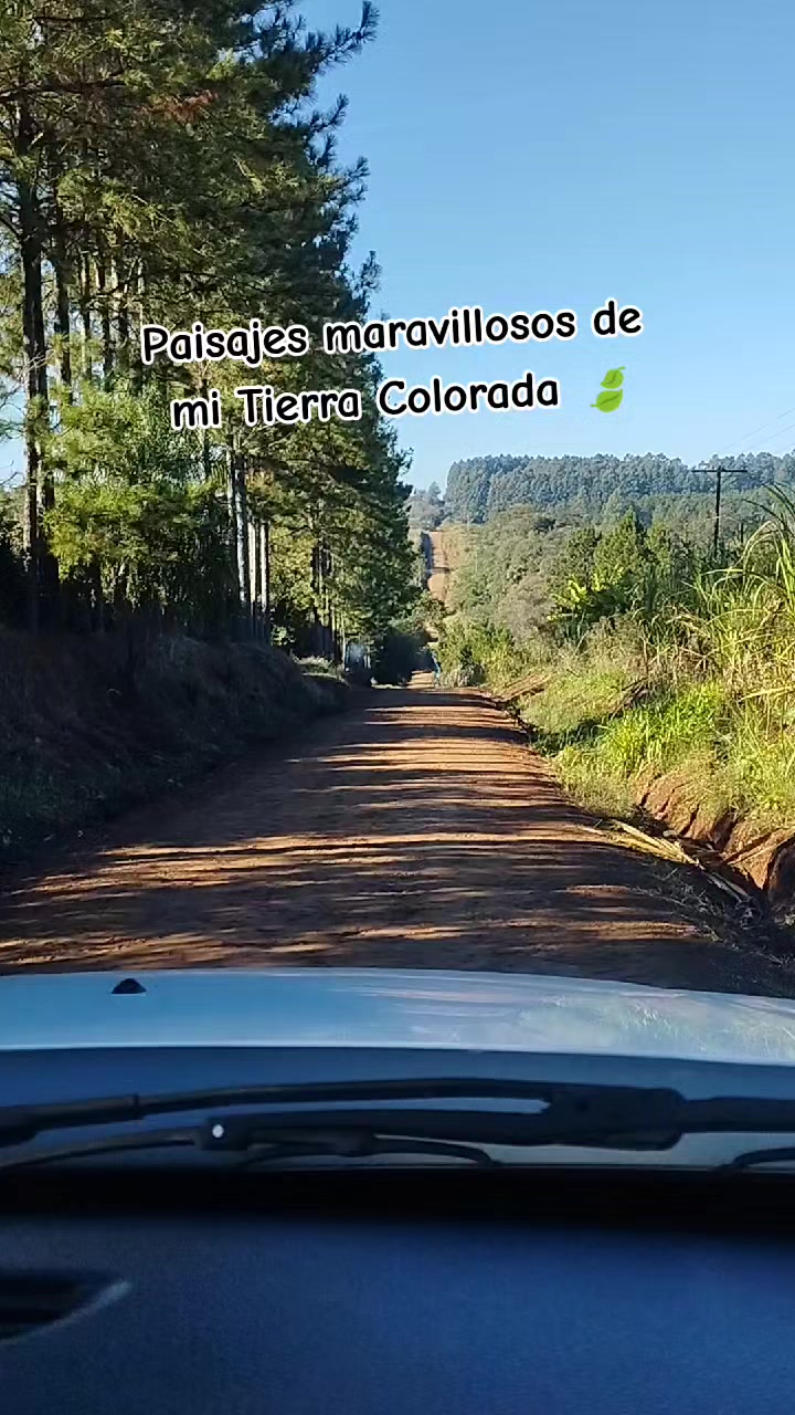 @Angie Roo