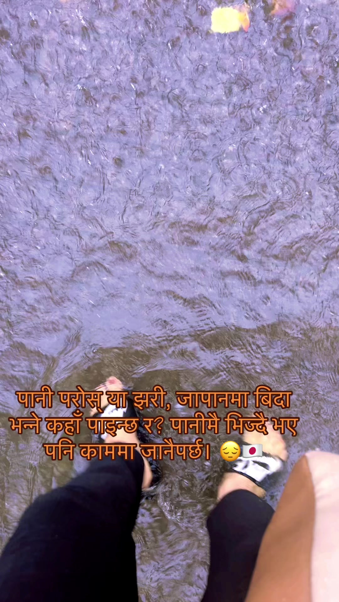 @Amrita Gajurel