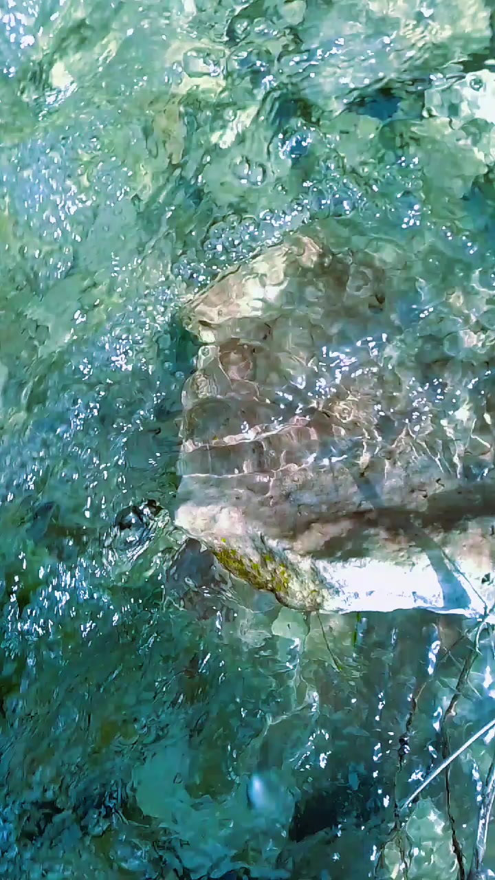 @Балыкчы Малай