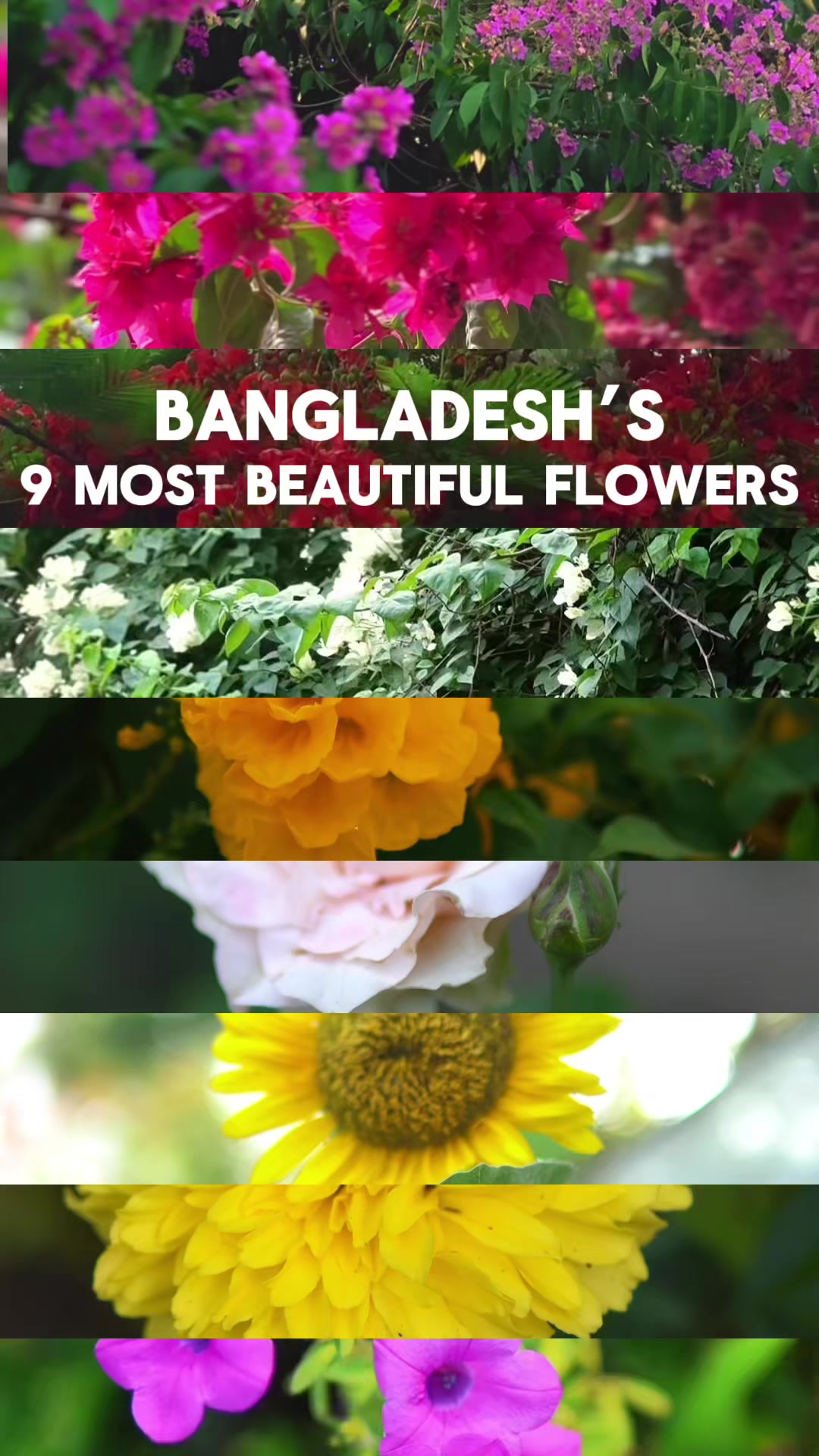 @Ahmed_samit | Chittagong