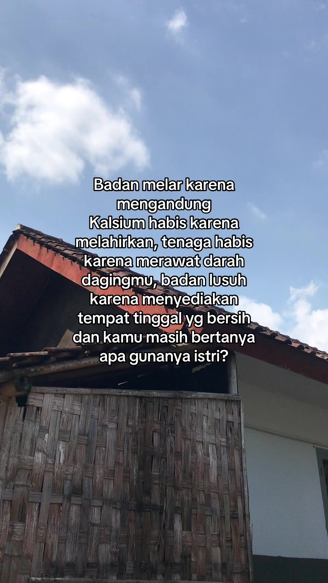 @kaktara24