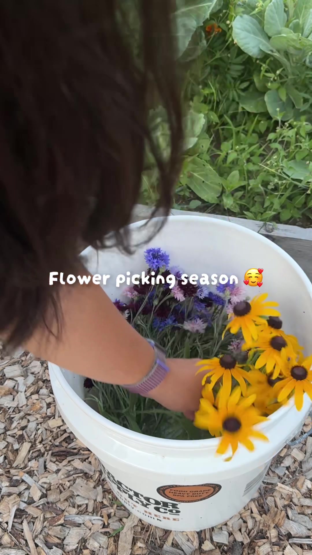@Manica | zone 6a gardener