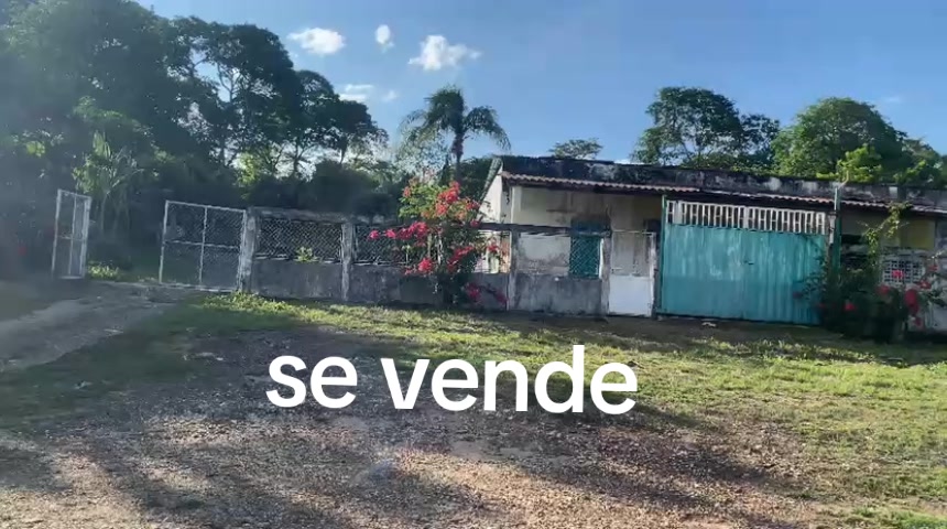 @nohemimolinagarcia