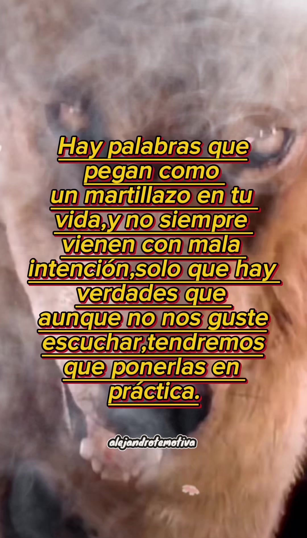 @Alejandro🐺te🦅motiva