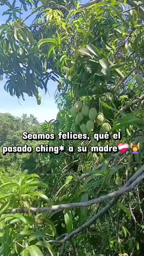 @Gordis🥰🥺