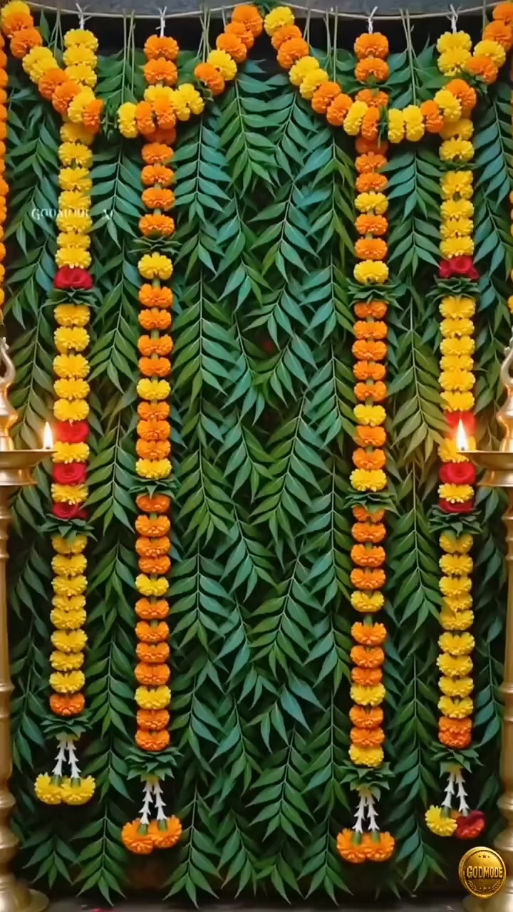 @பேப்பர் ஐடி 248 🌹1