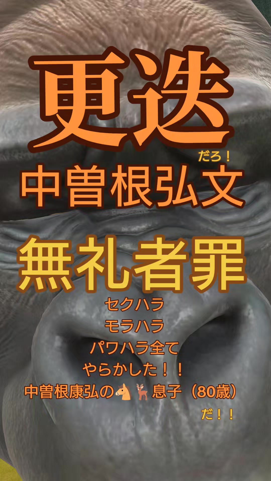 @タータン🪐エレガンス✨