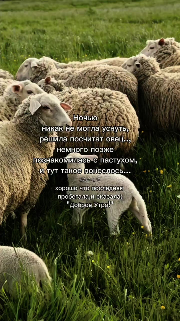 @𝑳𝒚𝒅𝒎𝒊𝒍𝒌𝒂シ︎