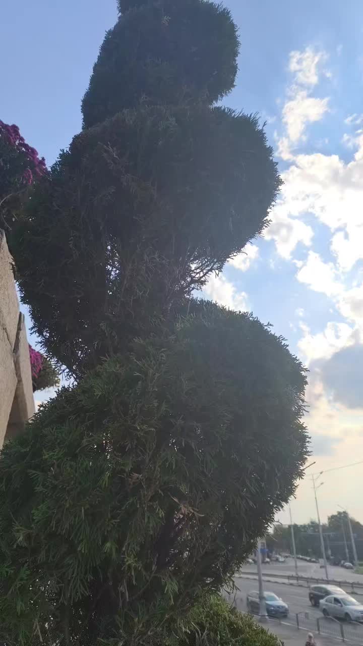 @Наталья