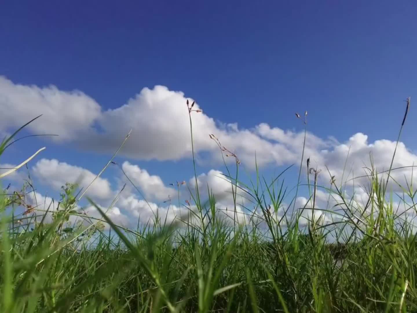 @...))