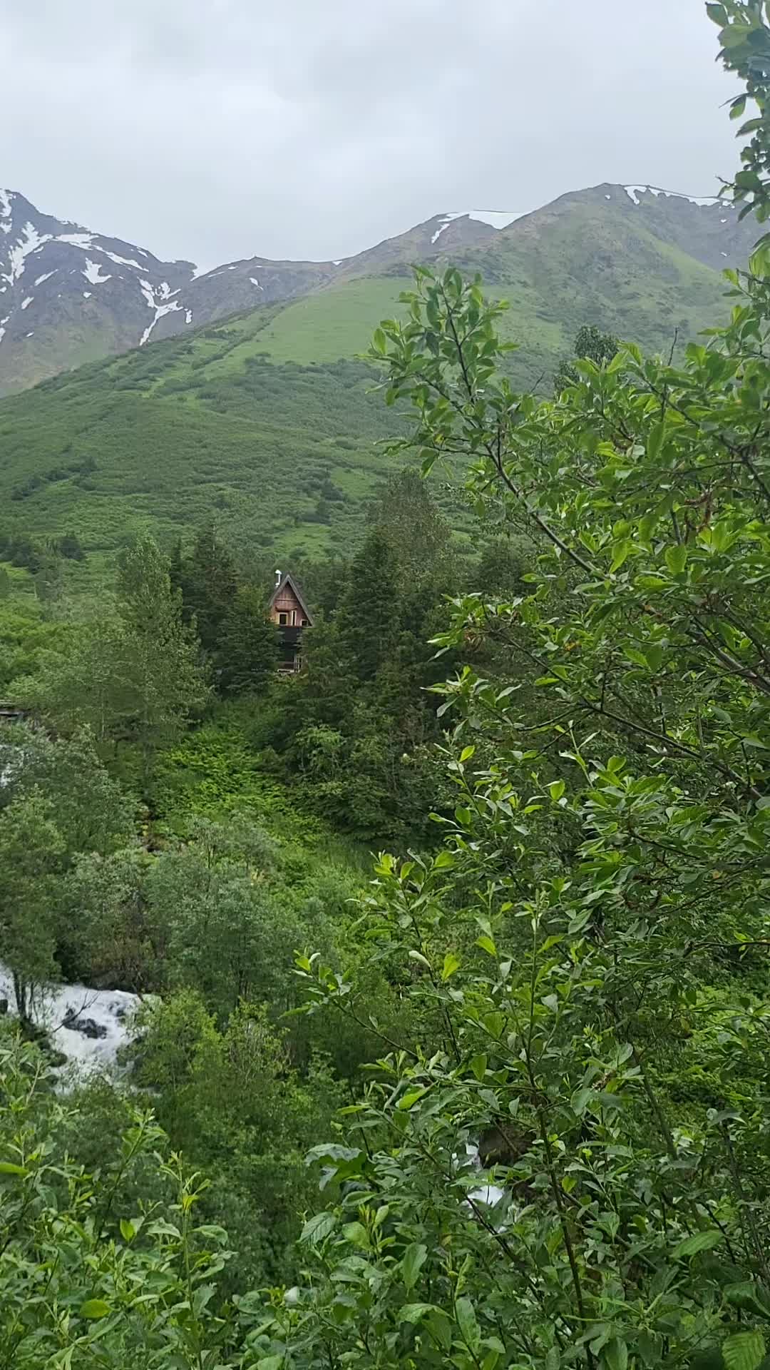 @Hello Alaska