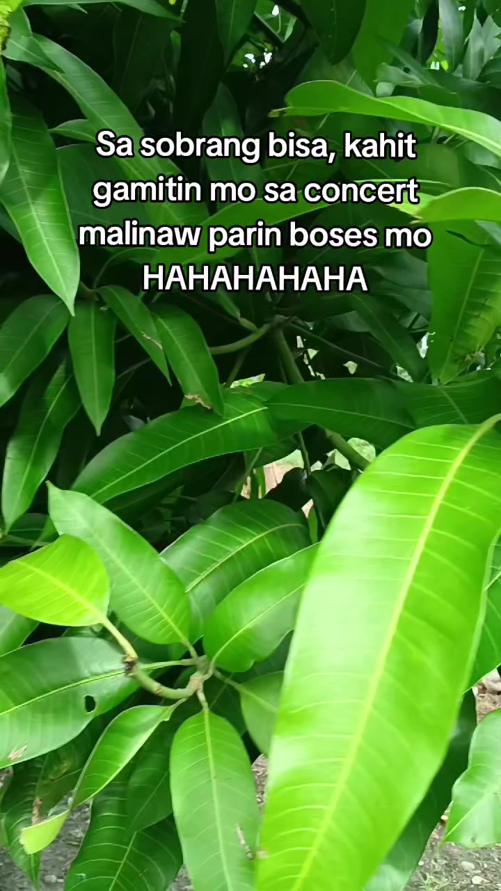 @Makoy na Koykoy 2
