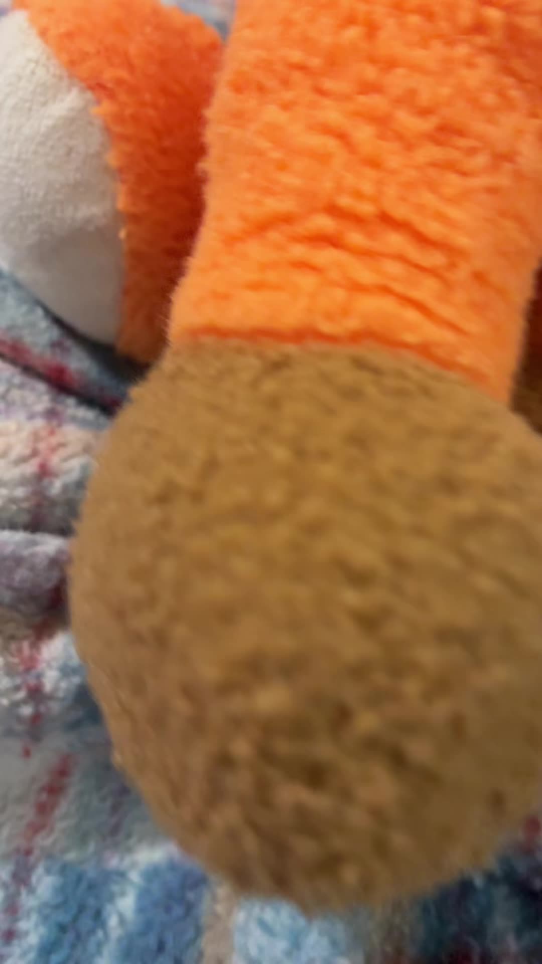 @bear