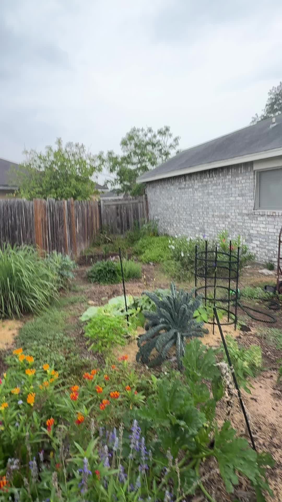 @themagicvalleygardener