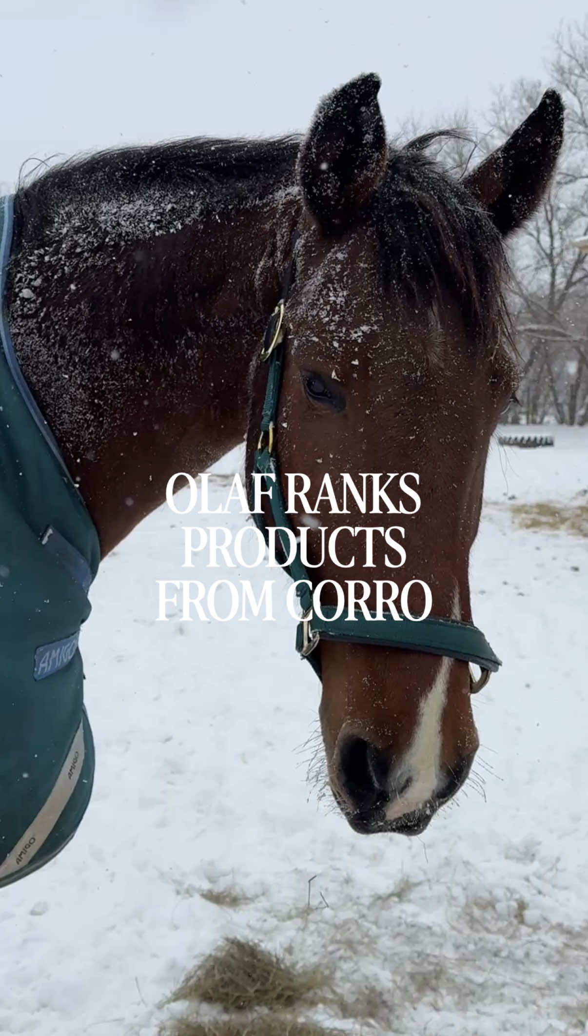 @Bethanie | Style & Horses๐ฅ