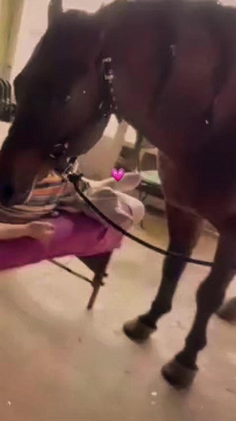 @Shaktali Energia del Corazón💕