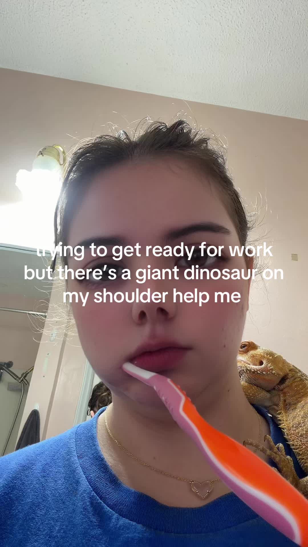 @meatymitch65