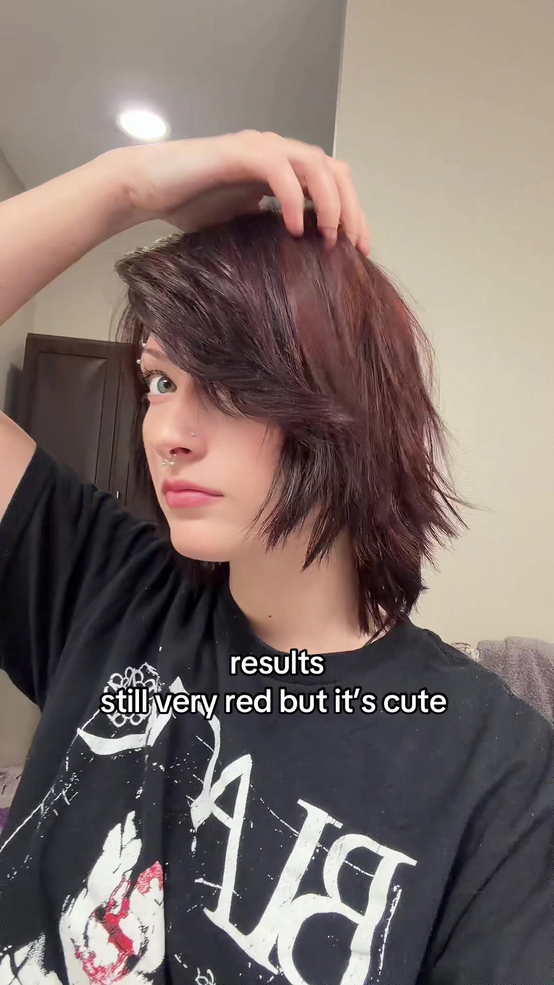 @tory ≽^-⩊-^≼