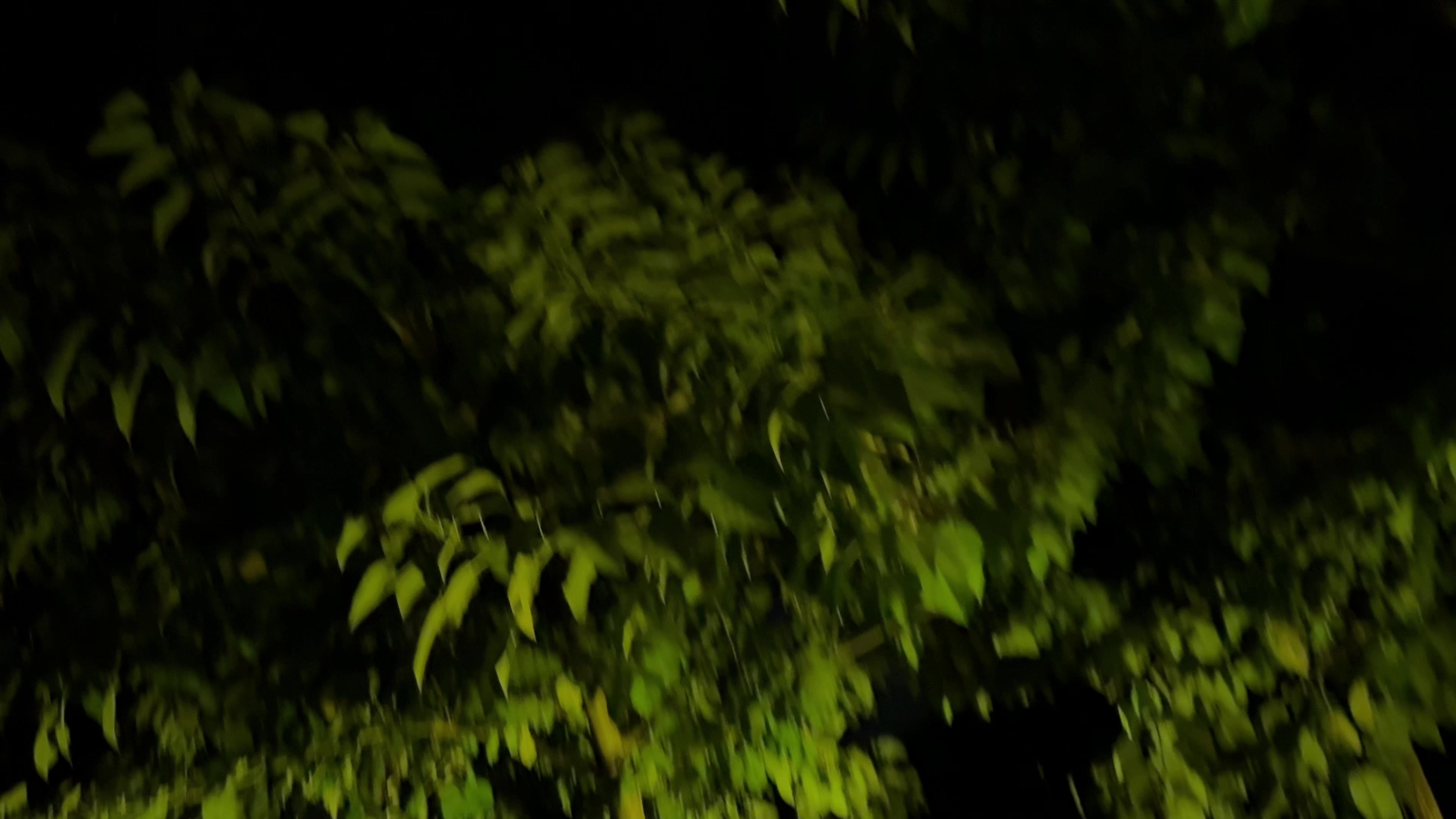 @⠀