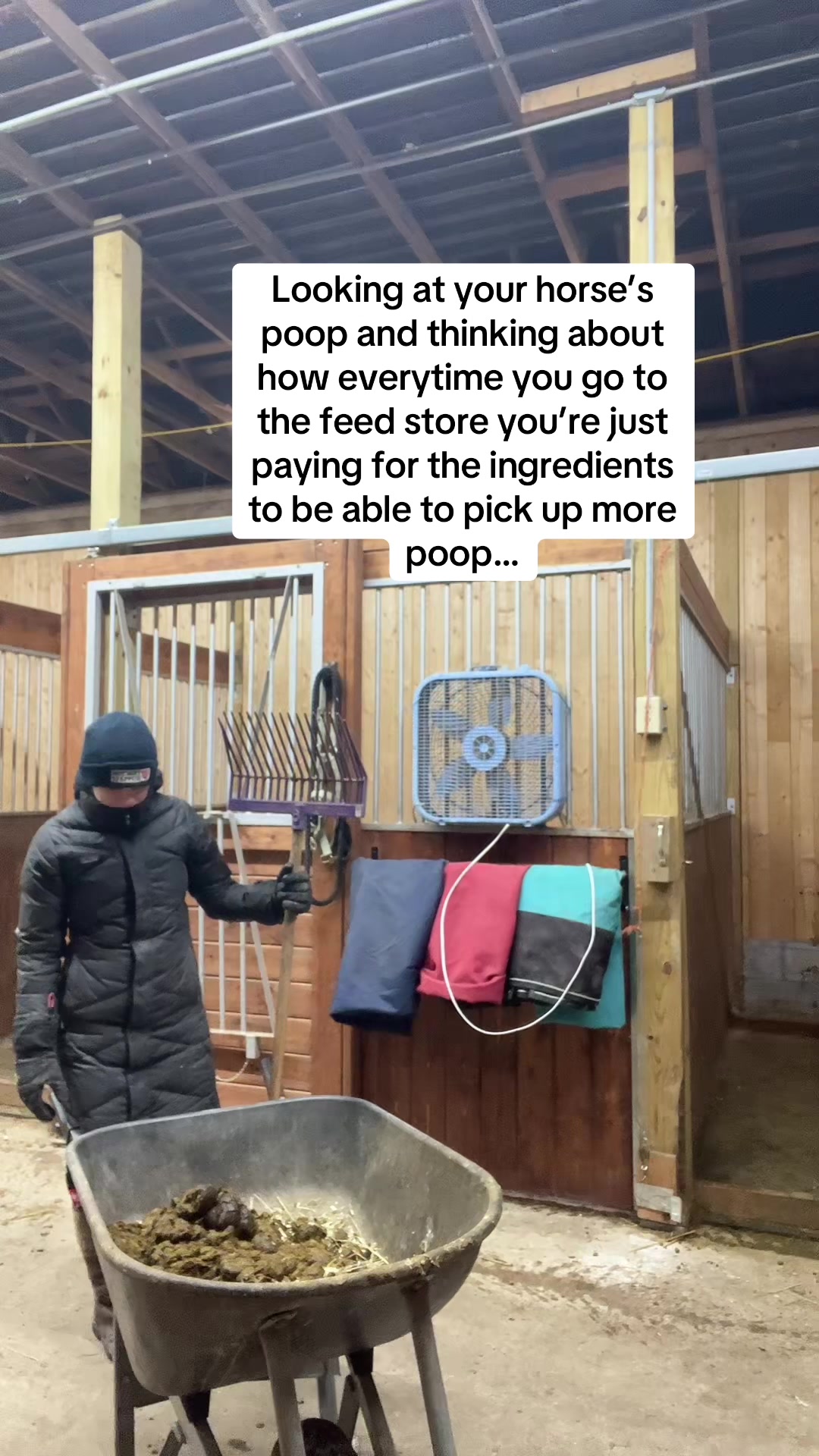 @Pony Squisher