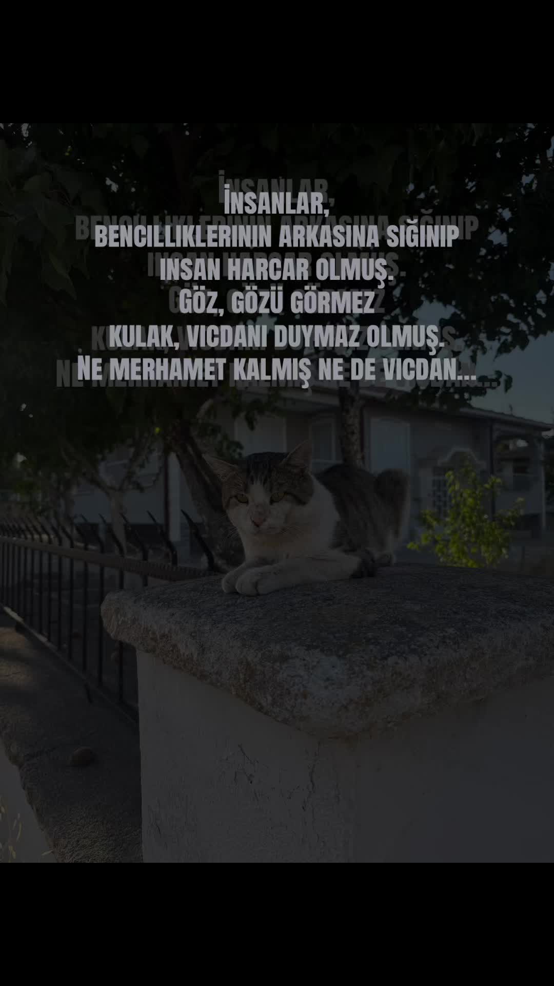 @kalbimin.izii