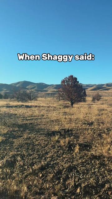 @Sarah Brown