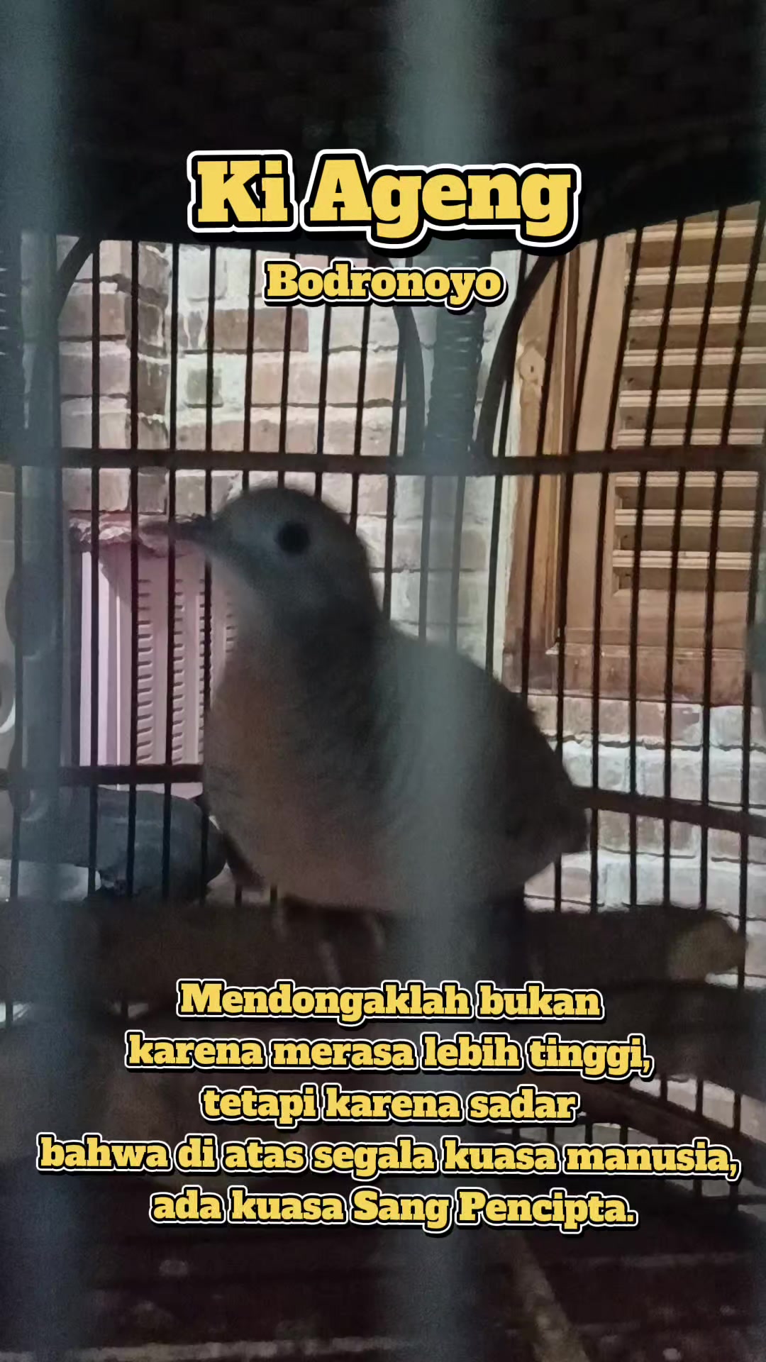 @Mas Jarot