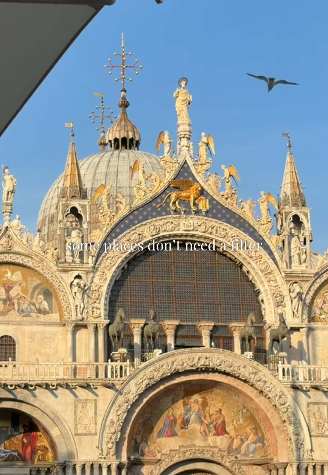 @stefy | travel diaries