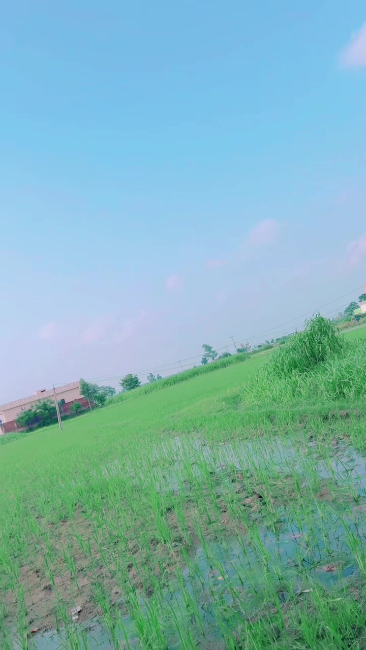 @Syed Abbas