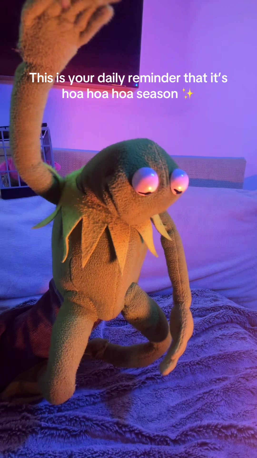 @🐸 Crashout Kermy 🐸