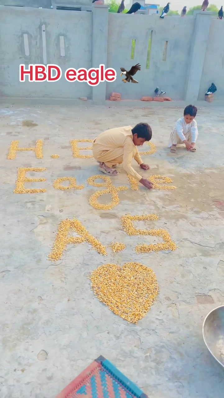 @Shahroz