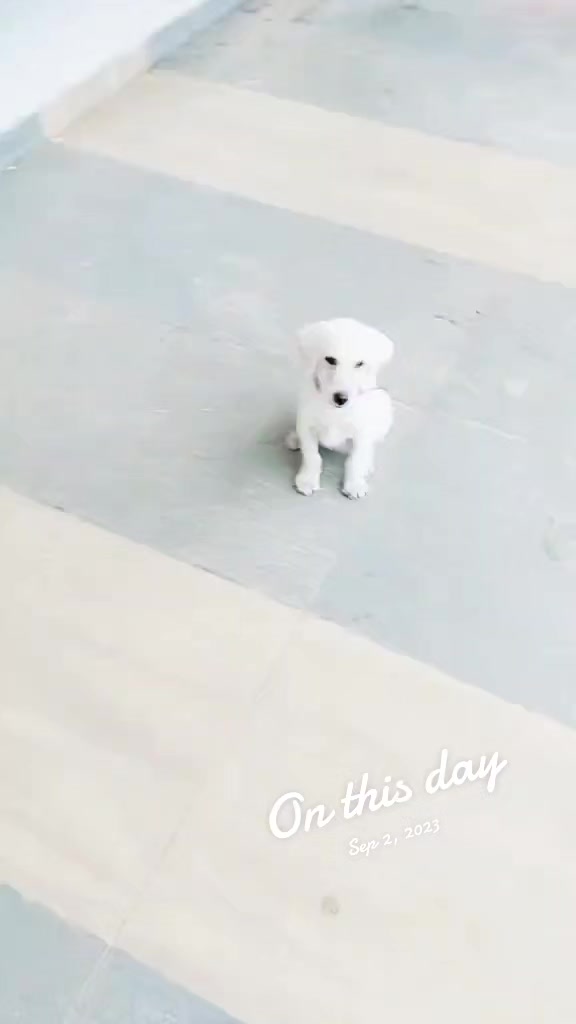 @ℝᴀ𝙼ⲉ𝘀ԩ 𝕋ᴇʝᴀ😍