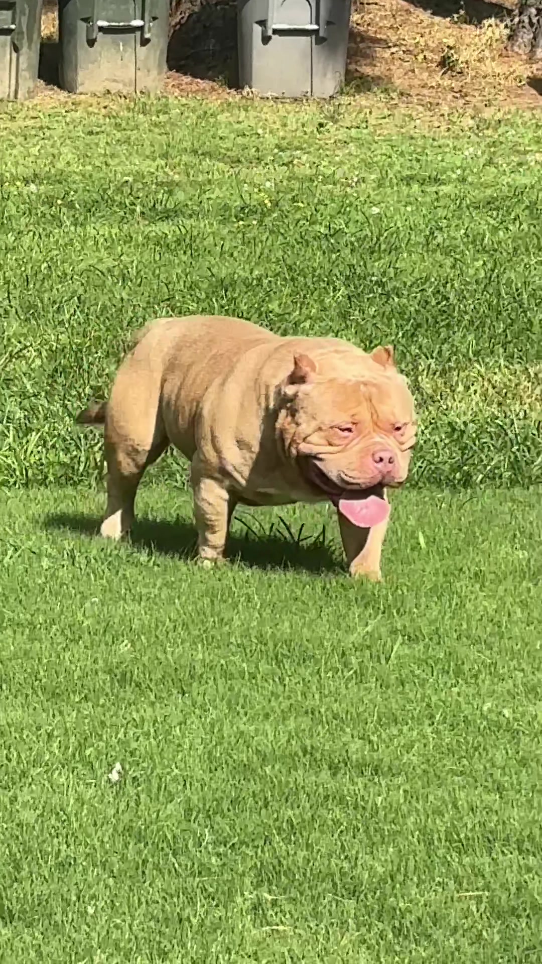 @Carters BullyHub