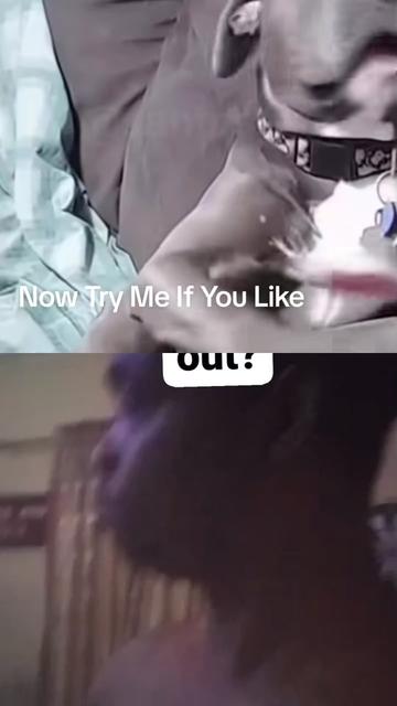 @๐ช๐พH๐ซถ๐พR๐๐พT