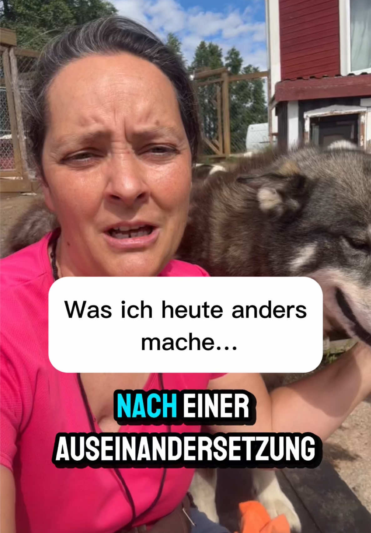 @Mehrere Hunde, ein Team!