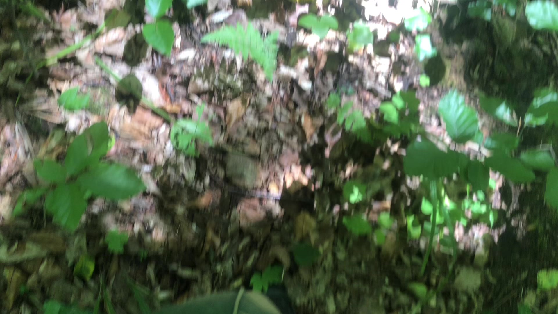 @нахуя я хуй сасал хуй сасал