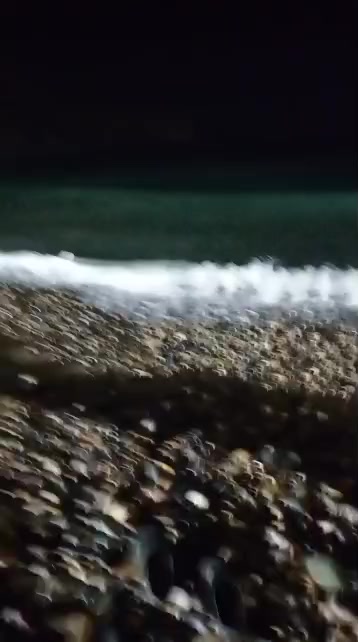@Lina🐬13