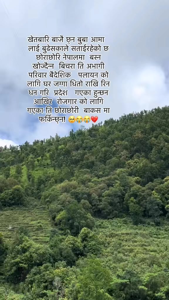 @Mr.bhusal 🌸💜